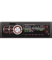 Fixed Panel Car MP3 Player with USB