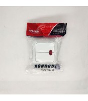 wall double switch SONGRUI SR-1802