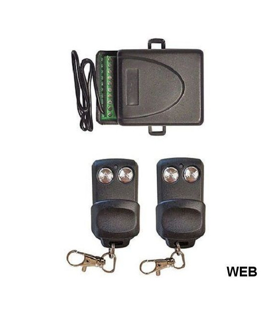 remote switch