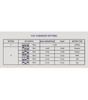 LiFePO4 CHARGE 40A