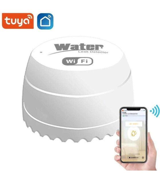 WIFIDW10WT