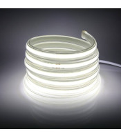 24v RP COB 6500 Led
