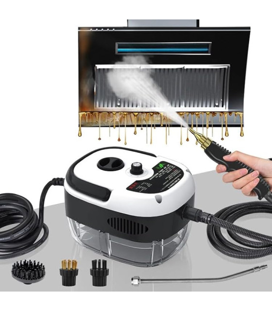 Steam Cleaners