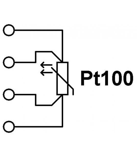 THERMOMETER SENSOR PT100 Φ6.4 100mm PT100 Φ6.4 100mm