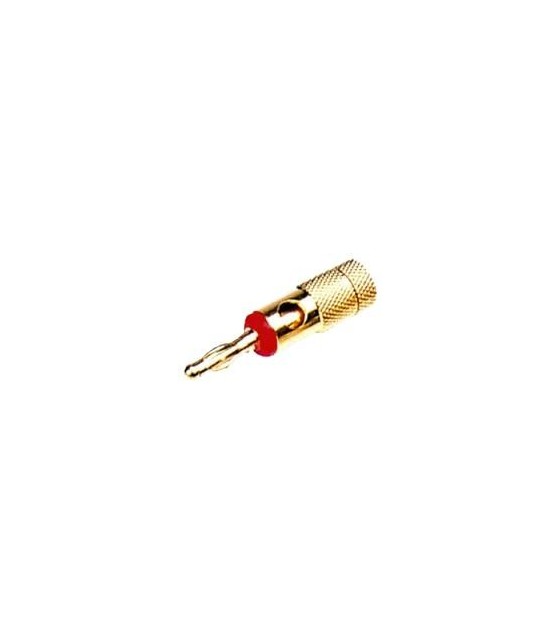 MALE METALLIC RED GOLD PLATED BANANA LZ532G