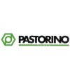 PASTORINO ITALY